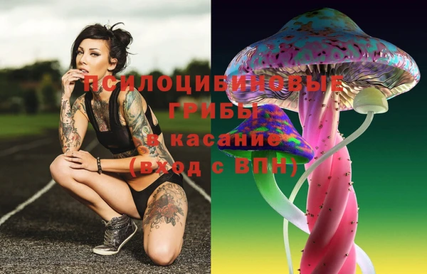 2c-b Семикаракорск