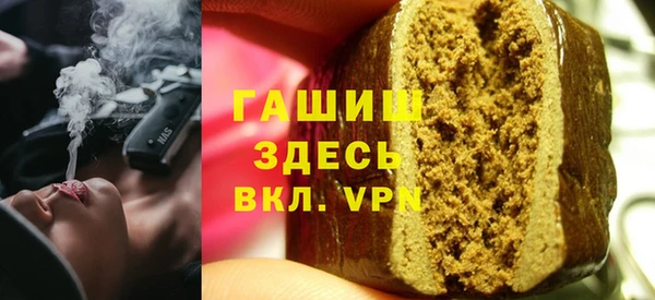 индика Снежногорск