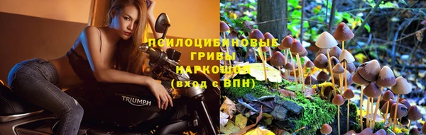 крисы Семилуки