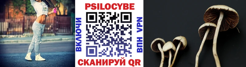 Галлюциногенные грибы Psilocybine cubensis Богородск