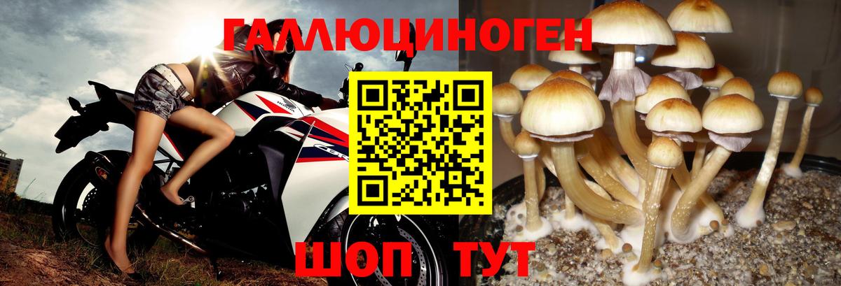 цены   Галлюциногенные грибы Magic Shrooms  Вход с VPN  Богородск  Галлюциногенные грибы Cubensis 